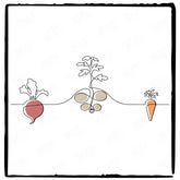 Garden Vegetables Carrot Potato Beetroot Pattern Design