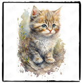 Kitten Cute Cat In Natural Environment Design