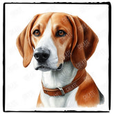 Cute Dog Portrait English Foxhound (1) Breed Design