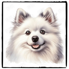 Cute Dog Portrait American Eskimo Dog (1) Breed Design