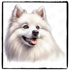 Cute Dog Portrait American Eskimo Dog (2) Breed Design