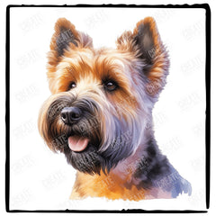 Cute Dog Portrait Glen Of Imaal Terrier (1) Breed Design