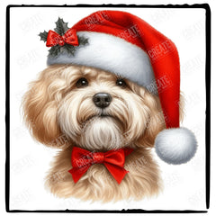Christmas Dog Design Havanese (3) Breed Cute Xmas Santa Hat Doggie