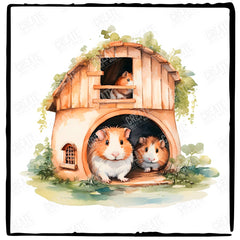 Guinea Pigs Cavy House Design