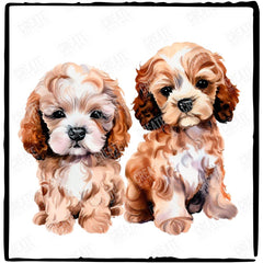 Two Cute Dogs Cavapoo (1) Adorable Watercolour Puppies Design