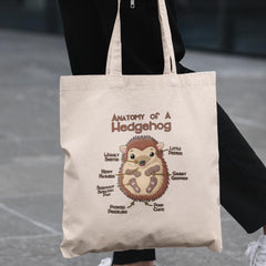 Cute Hedgehog Anatomy Animal