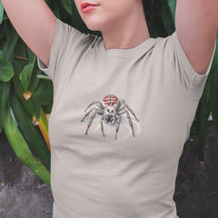 Grey Spider Pattern Design