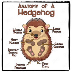 Cute Hedgehog Anatomy Animal