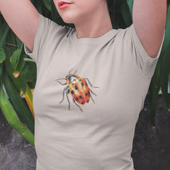 Beautiful Ladybird Pattern Design