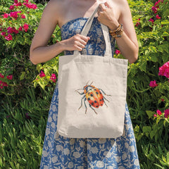 Beautiful Ladybird Pattern Design