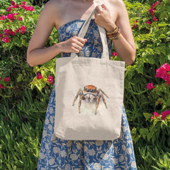 Spider Pattern Design