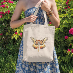 Beautiful Colourful Butterfly Pattern Design