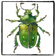 Pretty Nature Insect Pattern Design