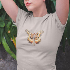 Beautiful Colourful Butterfly Pattern Design