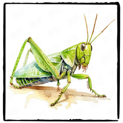 Beautiful Watercolour Grasshopper Pattern Design