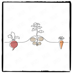 Garden Vegetables Carrot Potato Beetroot Pattern Design